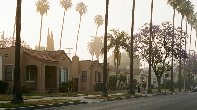 A quiet Los Angeles street at dawn with tall palm trees and jacarandas